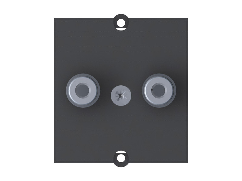 Bachmann Custom Modul 1x Cinch Stereo schwarz (917.089)