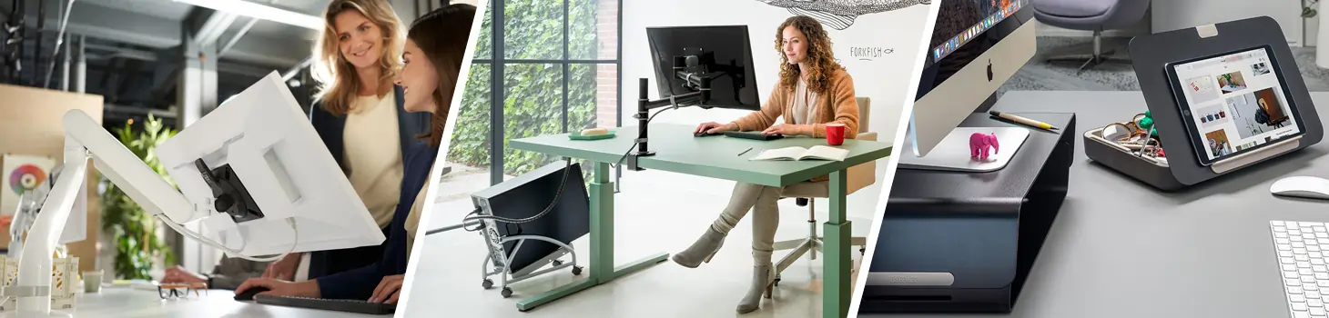 dataflex Monitorhalterung / Monitorarm