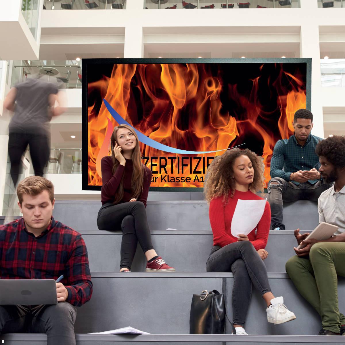 Distec BLO-Line A1 Brandschutz Monitor 54.6 Zoll PME Touch quer (DS-92-134Q) Universität