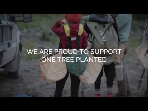 R-Go Tools Caparo Dual Monitor Tischhalterung bis 26 Zoll, RGOVLCA4TWSI, silber/schwarz